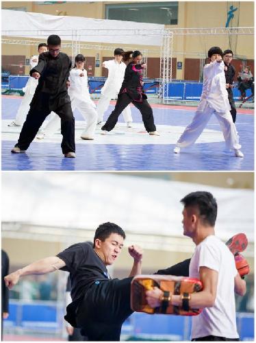 图片84.jpg